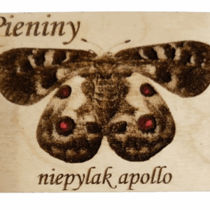 Magnes drewniany z grawerem niepylaka - pamiątka z Pienin