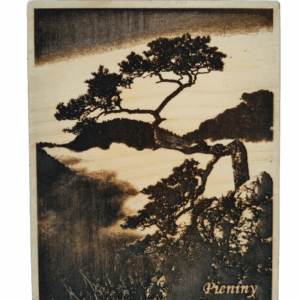 Sokolica - pamiątka regionalna - obraz wypalany w drewnie