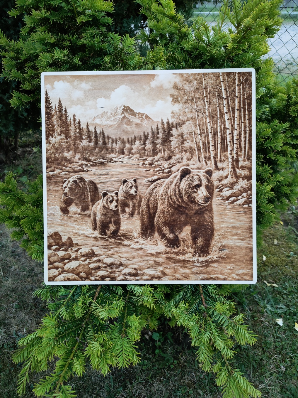 Niedźwiedzie - Obrazy wypalane w drewnie - Siła natury zaklęta w drewnie