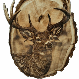 Jeleń - obraz wypalany w drewnie - drewniana dekoracja